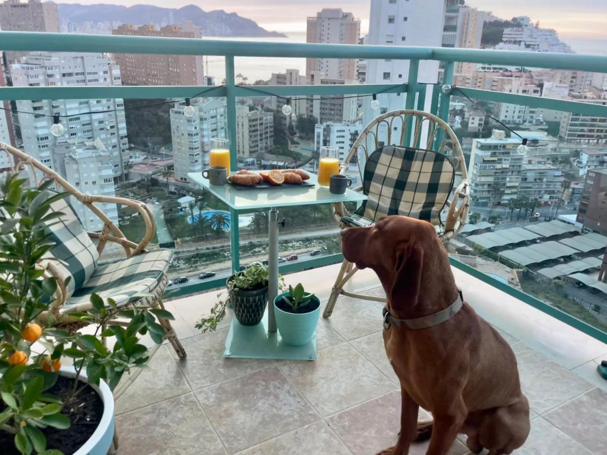 Traveler'S Beach Apartment With Sea View, Free Coffee & Parking Benidorm Eksteriør bilde